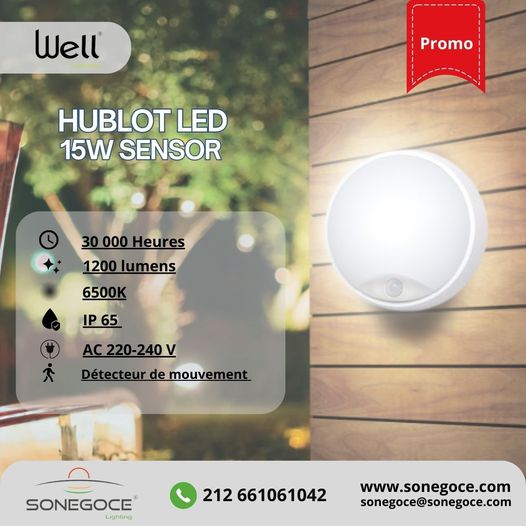 HUBLOT LED WELL CN ROND 15W 6500K SENSOR